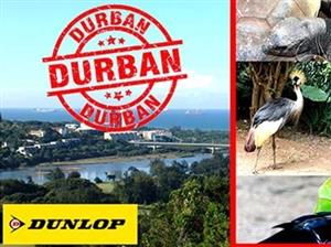TAKE AN AMAZING #DAYCATION IN DURBAN AND WALK ON THE WILD SIDE OF LIFE!